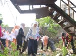 Jumat Bersih di Panambungan, Ketua Tim Penggerak PKK Makassar Dorong Penataan Lingkungan dan Pemanfaatan Lahan