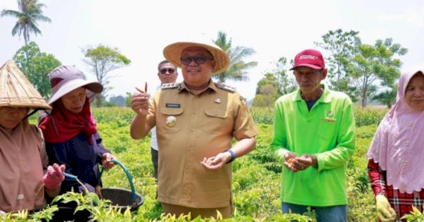 Bupati Takalar Resmikan Irigasi, Panen Cabai dan Serahkan Alsintan ke Petani Moncongkomba