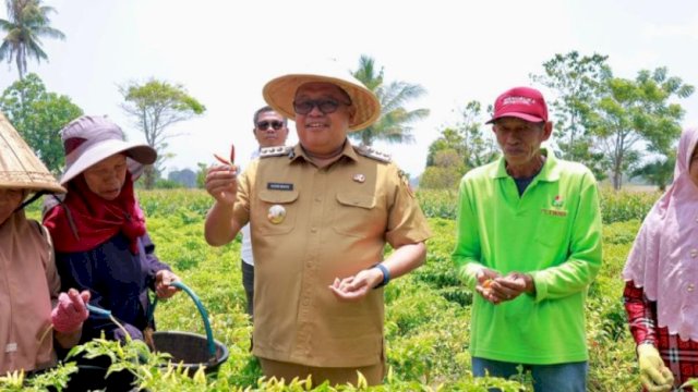 Bupati Takalar Resmikan Irigasi, Panen Cabai dan Serahkan Alsintan ke Petani Moncongkomba
